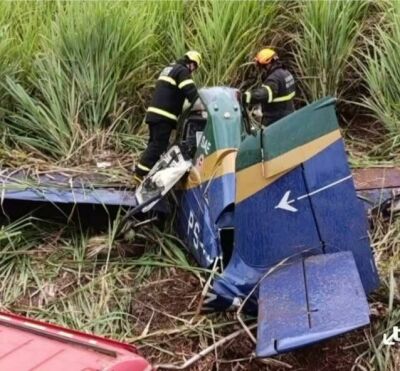 Imagem da notícia Piloto de avião que caiu em canavial é identificado pela polícia